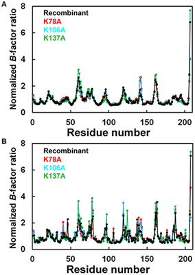 Positive Charges on the Surface of Thaumatin Are Crucial for the Multi-Point Interaction with the Sweet Receptor